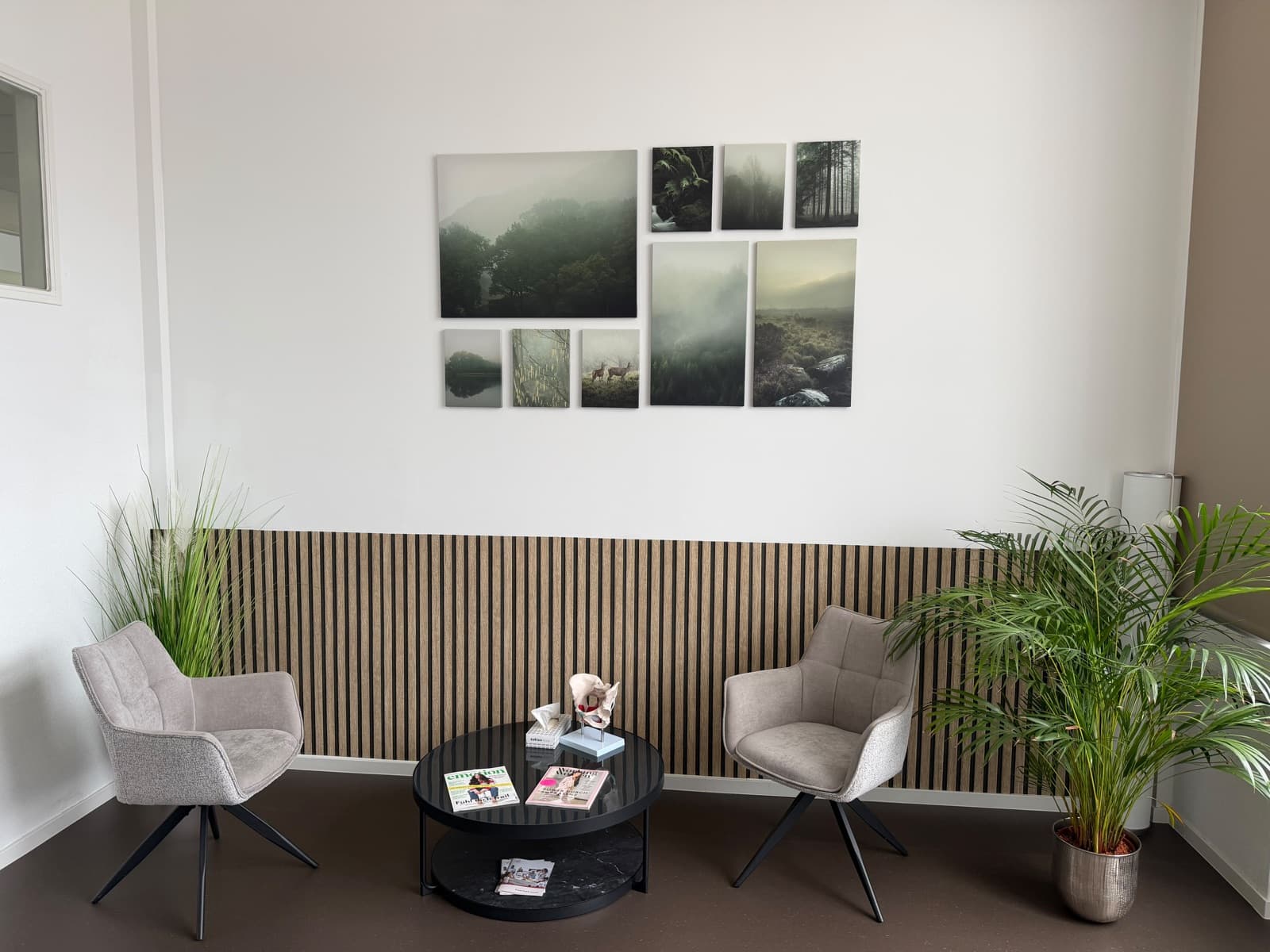Ruhiger Wartebereich mit Sesseln, Pflanzen und Naturbildern an der Wand
